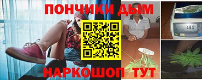 МДПВ Дубна