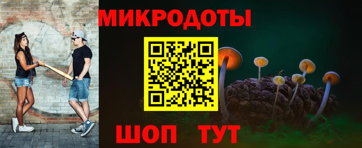 Галлюциногенные грибы MAGIC MUSHROOMS  Вход с VPN  Гусев 